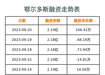 鄂尔多斯融资表