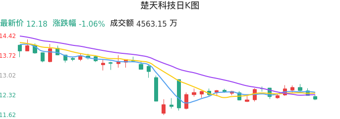 整体分析-日K图:楚天科技股票整体分析报告