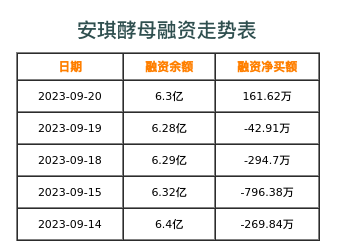 安琪酵母融资表