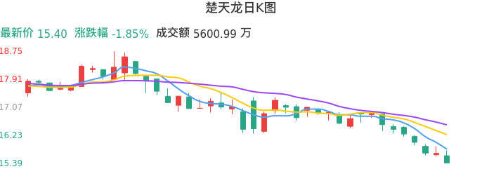 整体分析-日K图：楚天龙股票整体分析报告