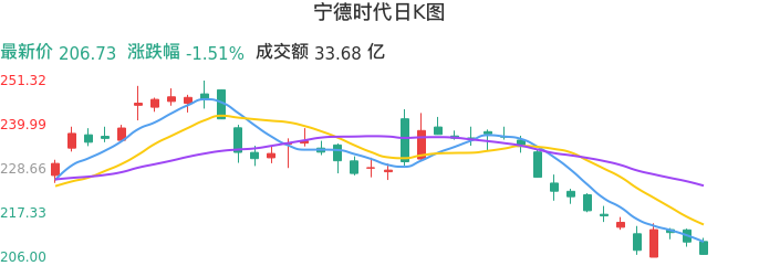整体分析-日K图:宁德时代股票整体分析报告