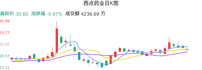 整体分析-日K图：西点药业股票整体分析报告