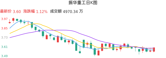 整体分析-日K图：振华重工股票整体分析报告
