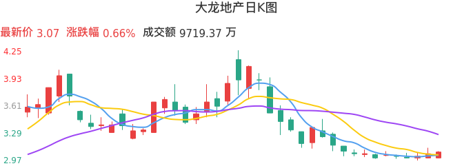 整体分析-日K图：大龙地产股票整体分析报告