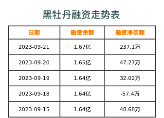 黑牡丹融资表