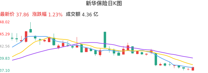 整体分析-日K图:新华保险股票整体分析报告