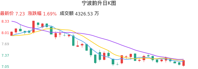整体分析-日K图:宁波韵升股票整体分析报告