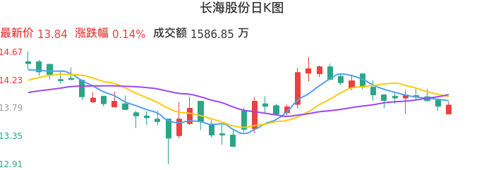 整体分析-日K图：长海股份股票整体分析报告