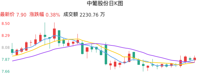 整体分析-日K图：中葡股份股票整体分析报告
