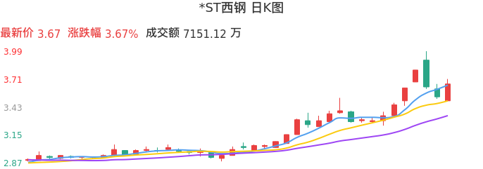 整体分析-日K图：*ST西钢股票整体分析报告