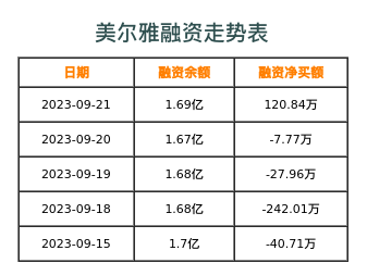 美尔雅融资表