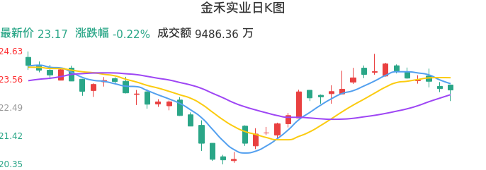 整体分析-日K图：金禾实业股票整体分析报告