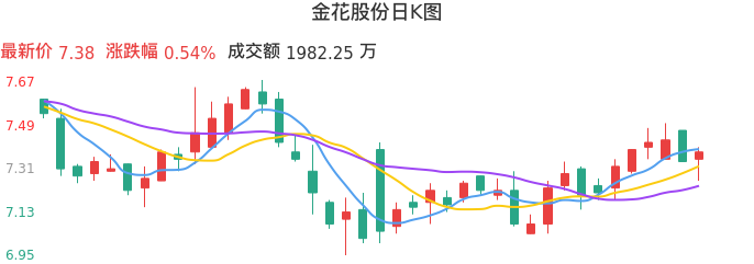 整体分析-日K图：金花股份股票整体分析报告