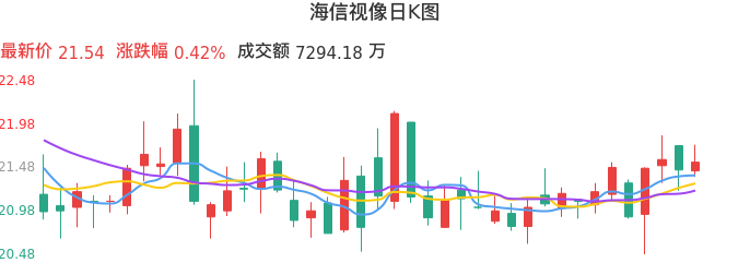 整体分析-日K图：海信视像股票整体分析报告
