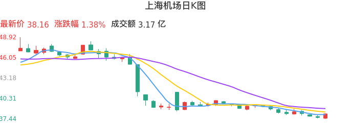 整体分析-日K图：上海机场股票整体分析报告