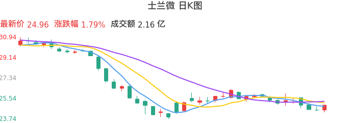 整体分析-日K图：士兰微股票整体分析报告