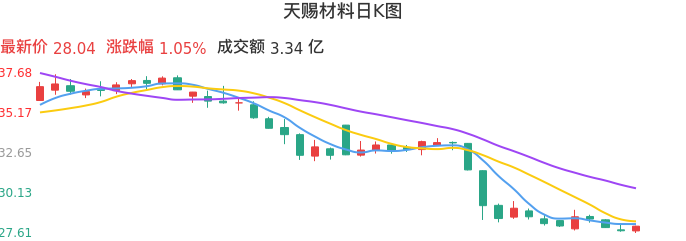 整体分析-日K图：天赐材料股票整体分析报告