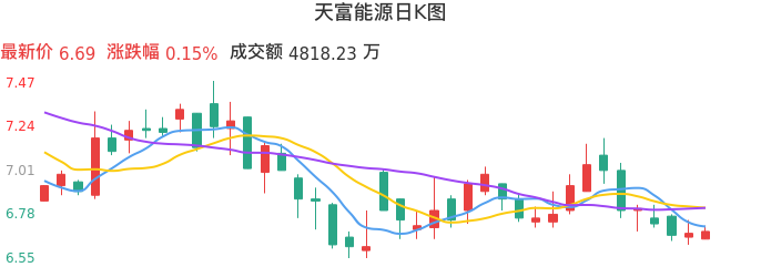 整体分析-日K图：天富能源股票整体分析报告