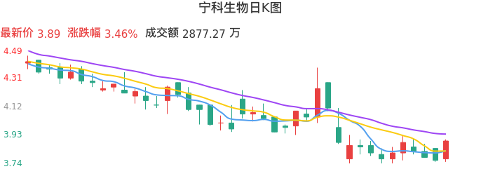 整体分析-日K图：宁科生物股票整体分析报告