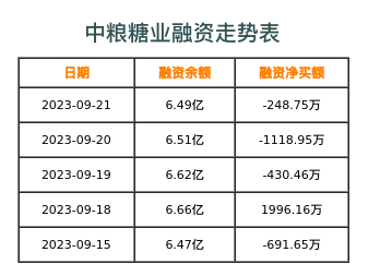 中粮糖业融资表