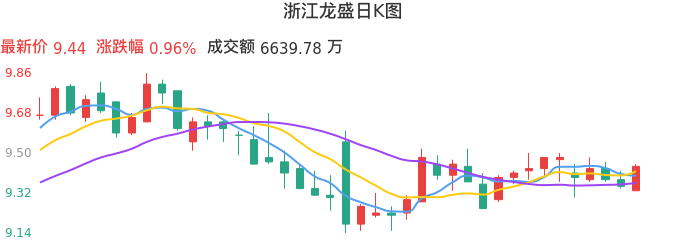 整体分析-日K图：浙江龙盛股票整体分析报告