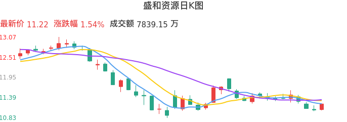 整体分析-日K图：盛和资源股票整体分析报告