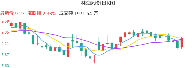 整体分析-日K图：林海股份股票整体分析报告