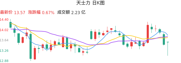 整体分析-日K图：天士力股票整体分析报告