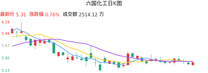 整体分析-日K图：六国化工股票整体分析报告