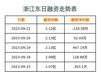 浙江东日融资表