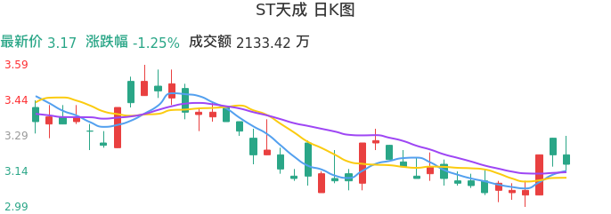 整体分析-日K图：ST天成股票整体分析报告