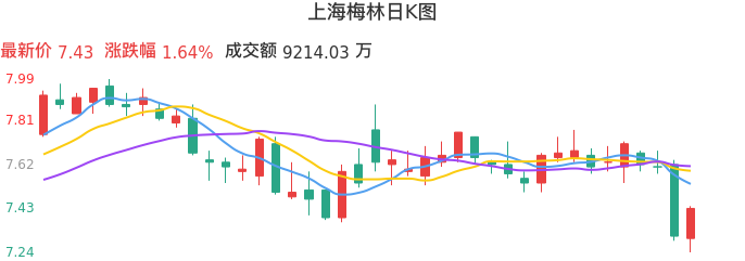 整体分析-日K图：上海梅林股票整体分析报告