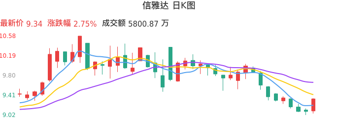 整体分析-日K图:信雅达股票整体分析报告