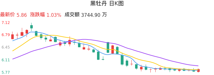 整体分析-日K图：黑牡丹股票整体分析报告