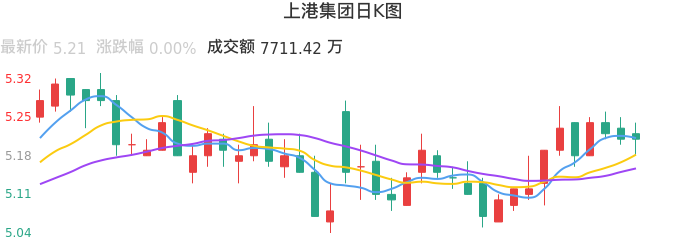整体分析-日K图：上港集团股票整体分析报告
