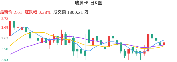 整体分析-日K图:瑞贝卡股票整体分析报告