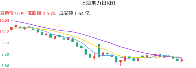整体分析-日K图：上海电力股票整体分析报告
