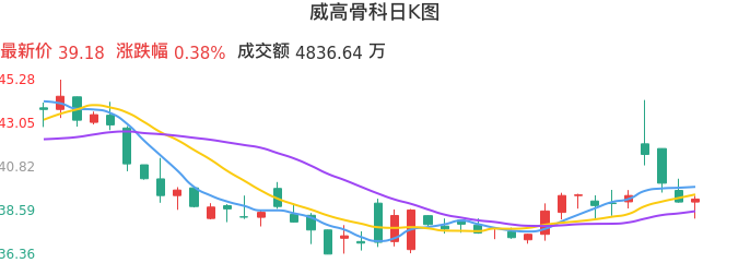 整体分析-日K图：威高骨科股票整体分析报告