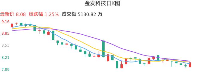 整体分析-日K图：金发科技股票整体分析报告