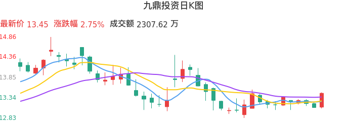 整体分析-日K图：九鼎投资股票整体分析报告