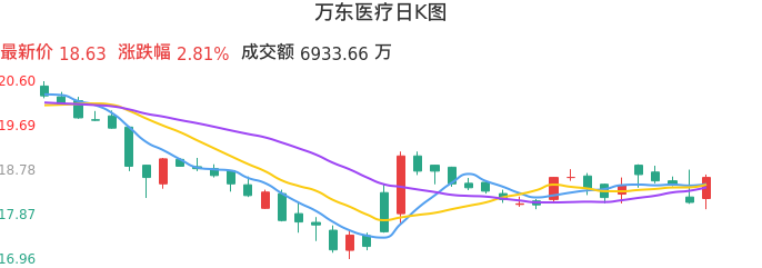 整体分析-日K图：万东医疗股票整体分析报告