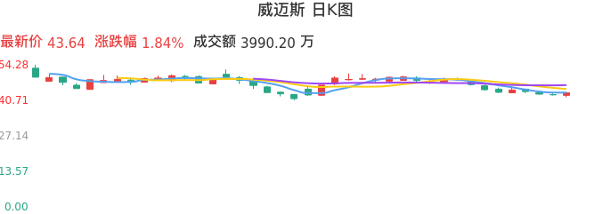 整体分析-日K图：威迈斯股票整体分析报告