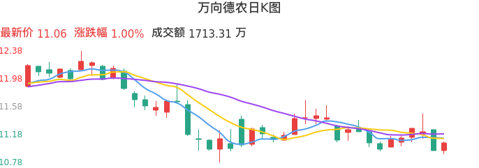 整体分析-日K图:万向德农股票整体分析报告