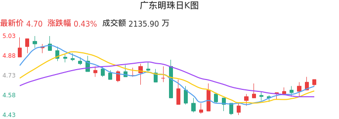 整体分析-日K图：广东明珠股票整体分析报告