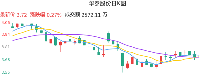 整体分析-日K图：华泰股份股票整体分析报告