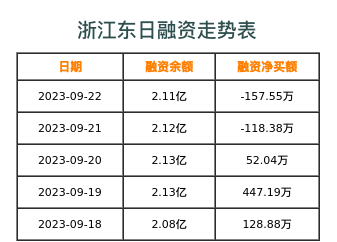 浙江东日融资表