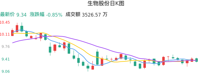整体分析-日K图：生物股份股票整体分析报告