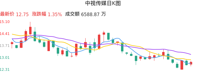 整体分析-日K图：中视传媒股票整体分析报告
