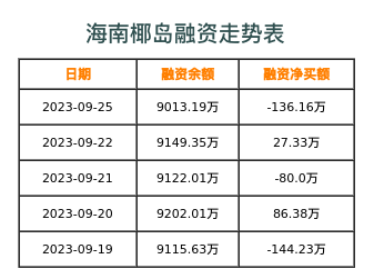海南椰岛融资表