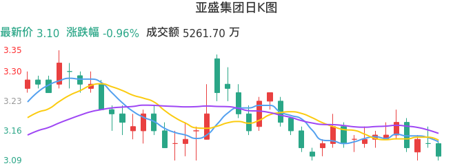整体分析-日K图：亚盛集团股票整体分析报告